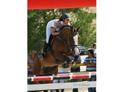 Loretta 1