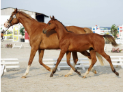 DSC01400