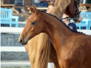 DSC01406