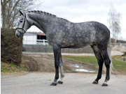 CAESARION3